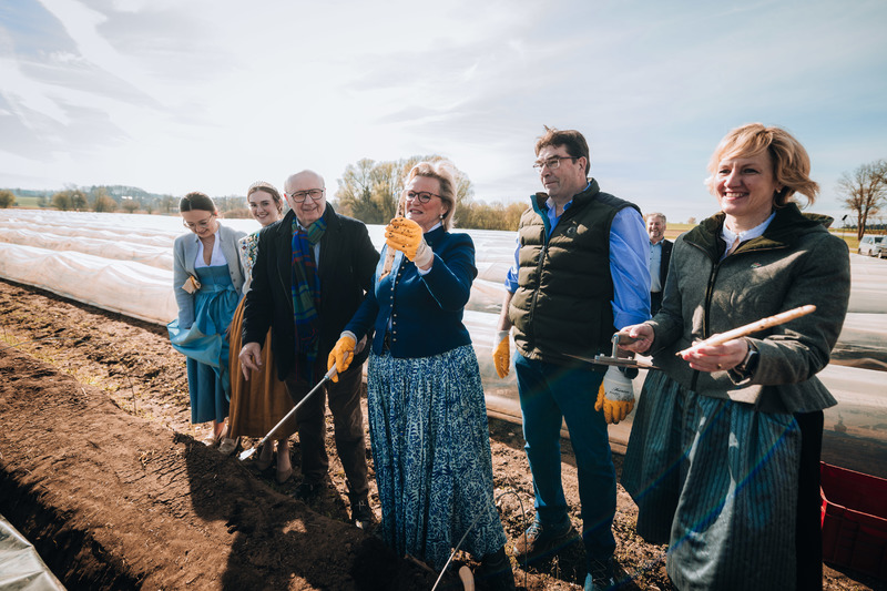 Unter großem Interesse aus Landwirtschaft, Gastronomie und Politik ist am Samstag, den 11. April 2026, die diesjährige Spargelsaison in Abensberg offiziell eröffnet worden. Den symbolischen ersten Spargelstich vollzog die Präsidentin des DEHOGA Bayern, Angela Inselkammer, die dabei die hohe Qualität und den großen handwerklichen Aufwand beim Anbau des regionalen Edelgemüses würdigte.