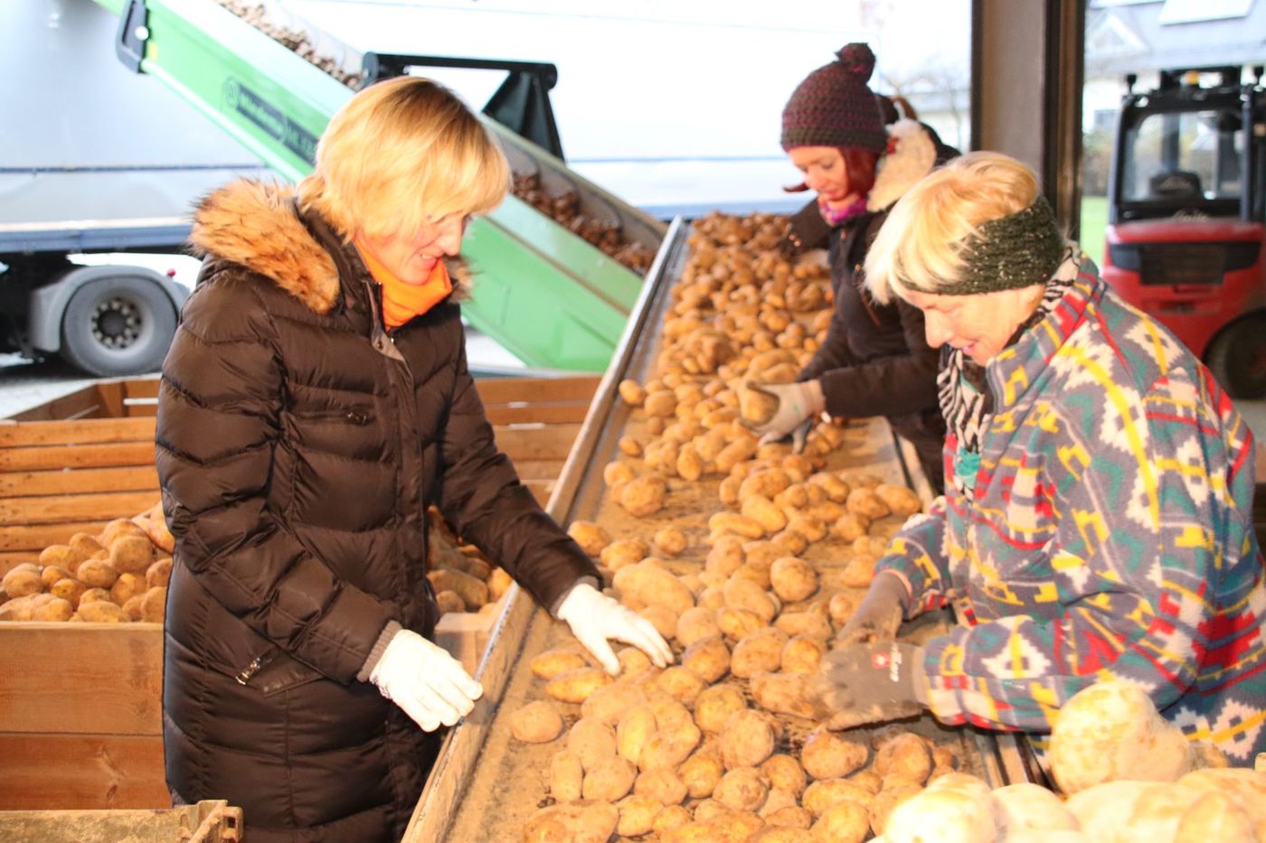 BU: MdL Petra Högl (l.) half beim Sortieren der Kartoffeln am Betrieb Frauenhofer in Adlhausen mit